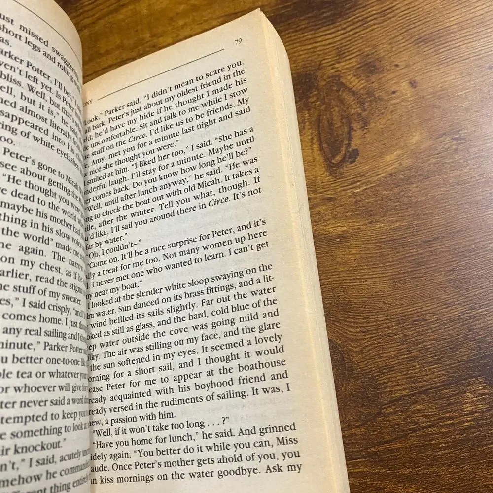 Colony by Anne Rivers Siddons (1993, Mass Market)